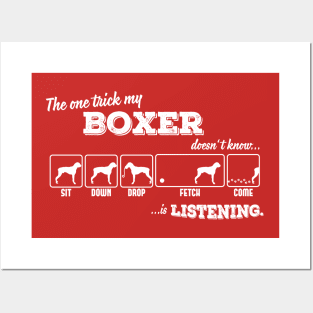 Boxer Posters and Art